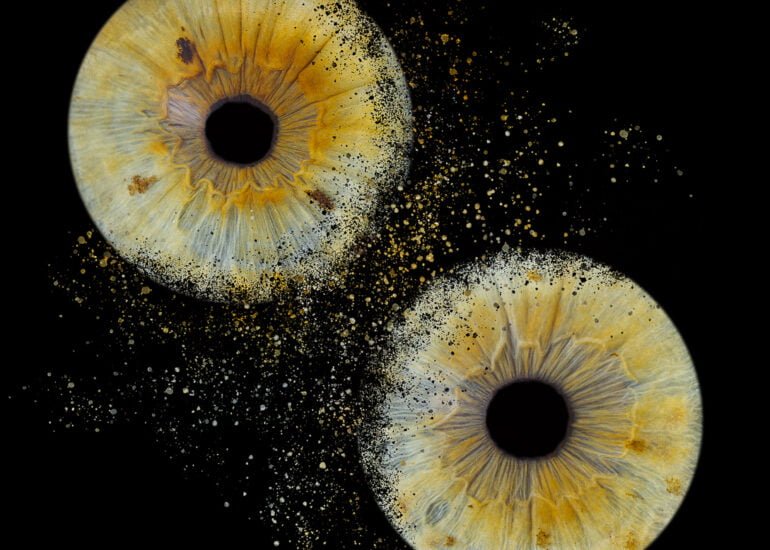 photo d iris à Bordeaux