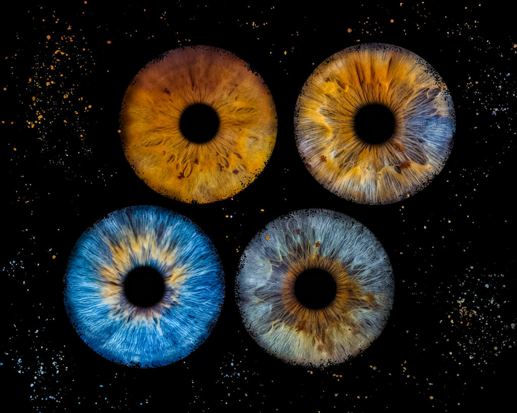 photographie iris bordeaux
