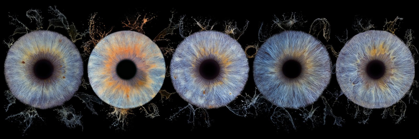 Quintuor iris
