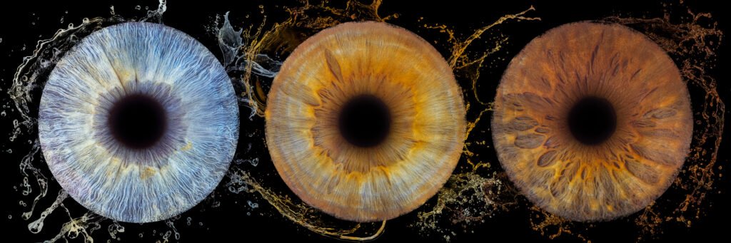 trio photographie iris bordeaux