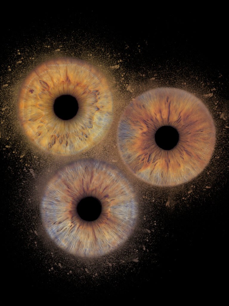 trio dust iris bordeaux