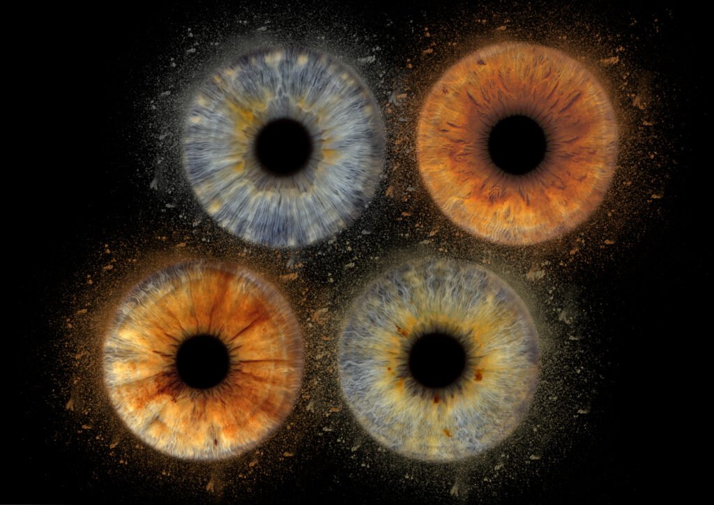 quatuor iris bordeaux