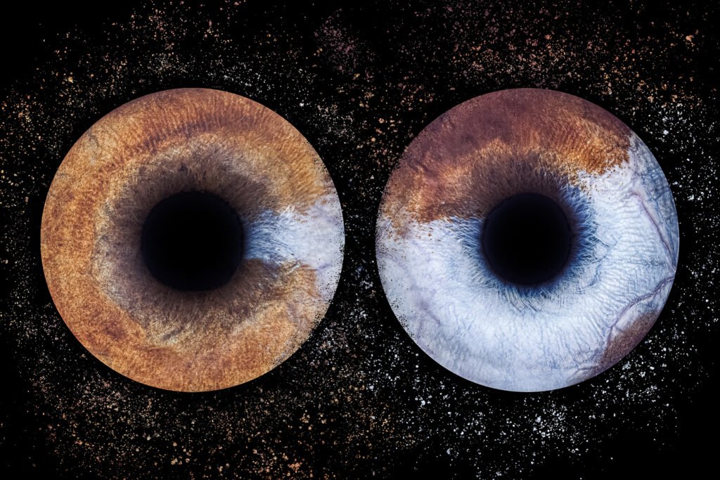 Séance photo iris macro Mérignac Bordeaux