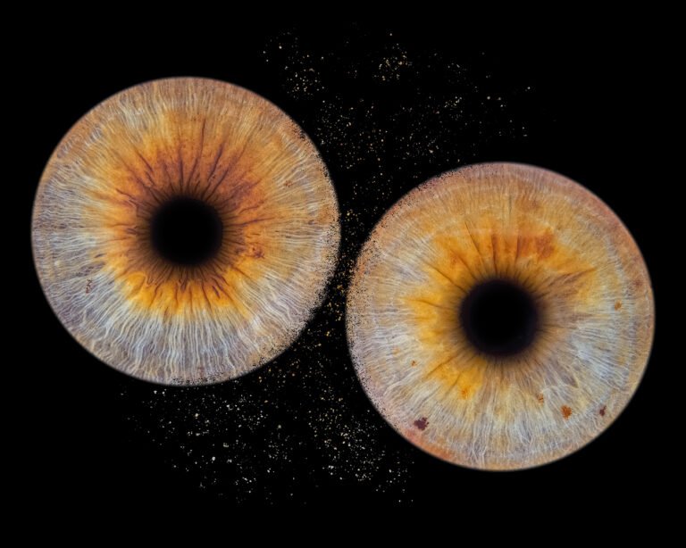 Séance photo iris macro Mérignac Bordeaux