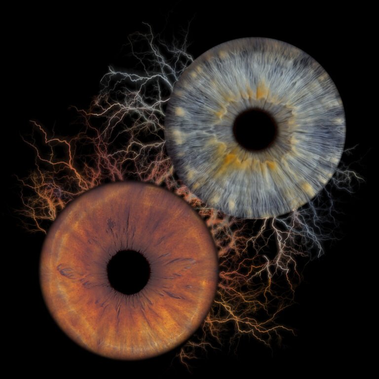 Electricity duo iris bordeaux