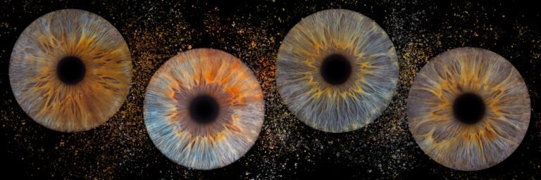 Photo iris Bordeaux tarifs studio professionnel