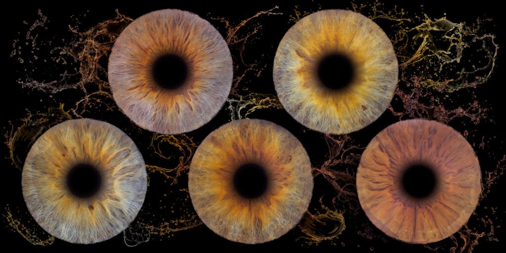 Photo iris Bordeaux tarifs studio professionnel