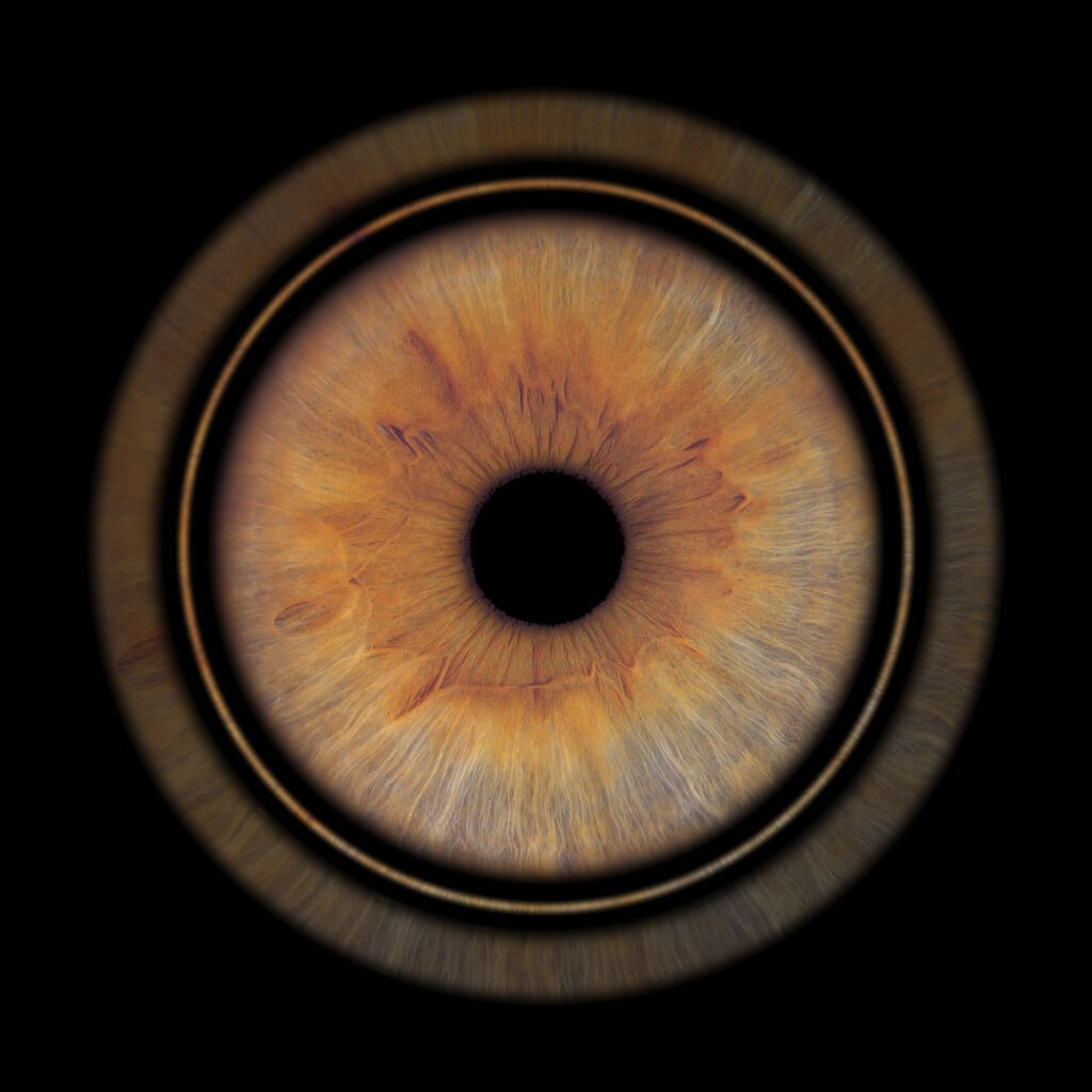 ring iris solo bordeaux