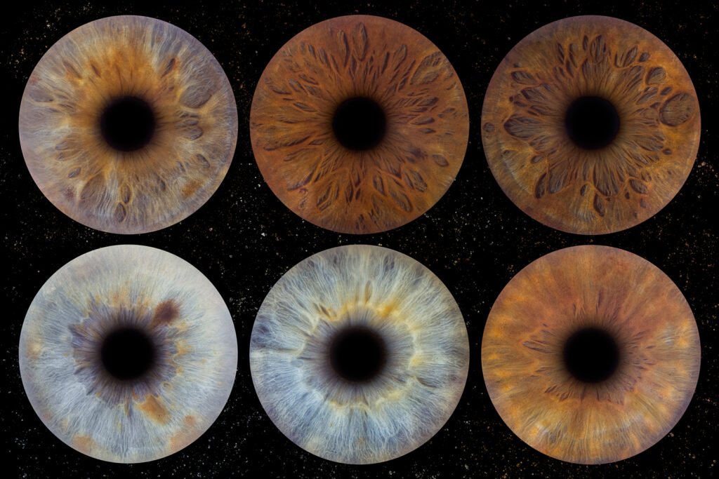 Séance photo iris macro Mérignac Bordeaux