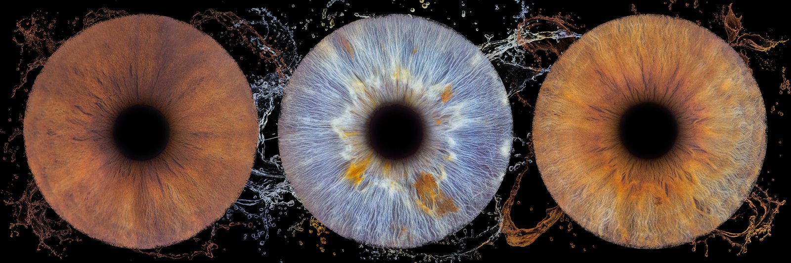 Prix séance photo iris couples et famille Bordeaux Mérignac