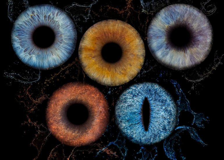 Photographie d'iris pour les animaux
