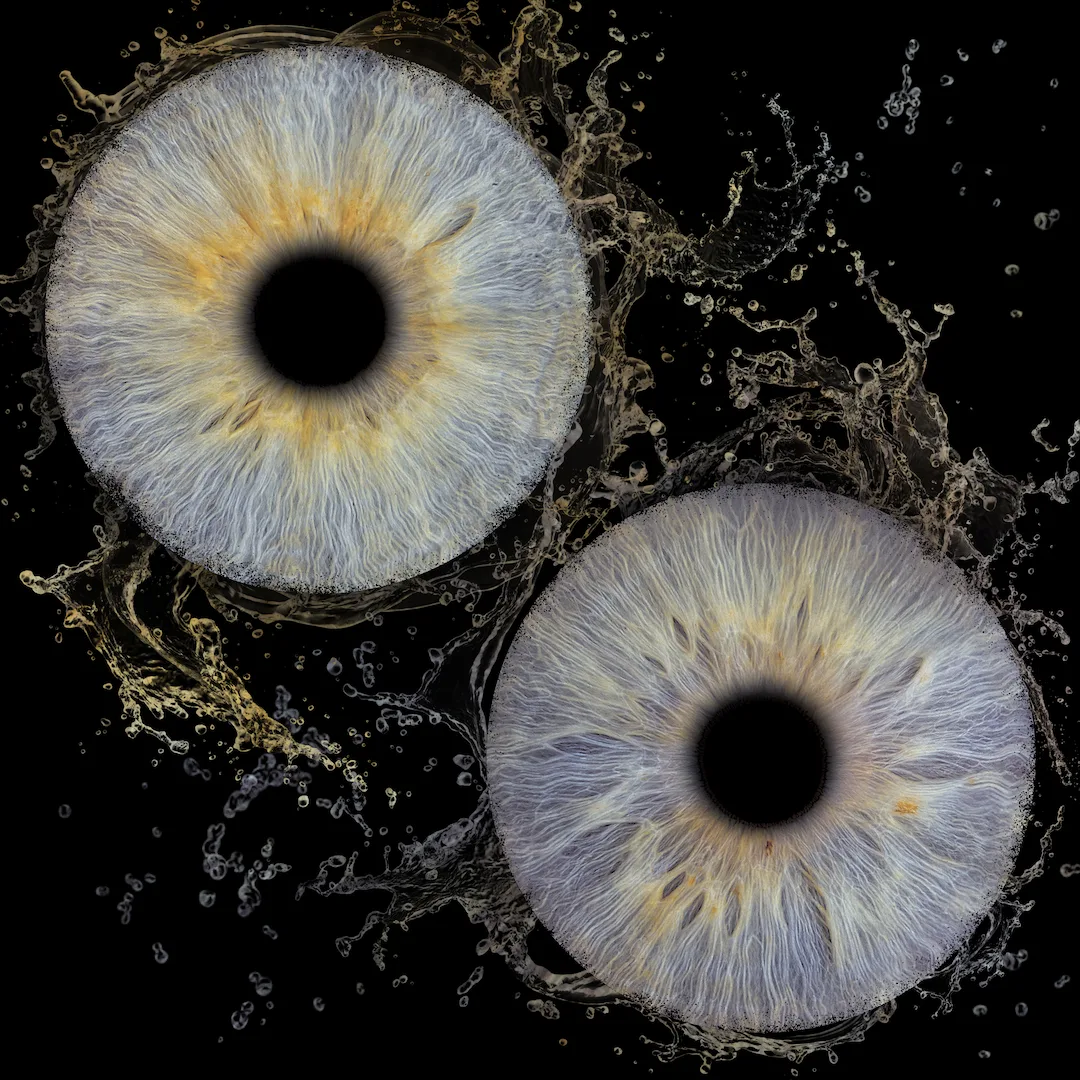 Photographie artistique d'iris à Mérignac près de Bordeaux