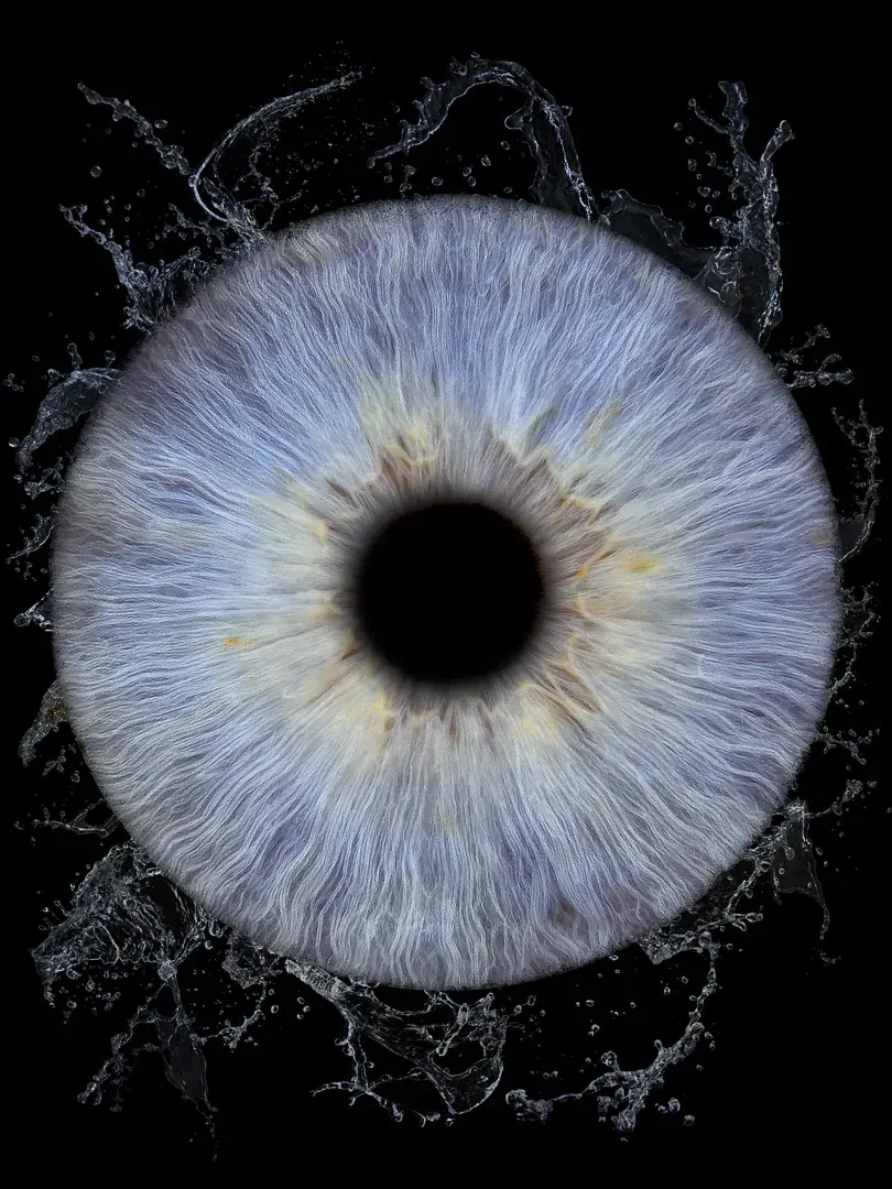 Photographie artistique d'iris à Mérignac