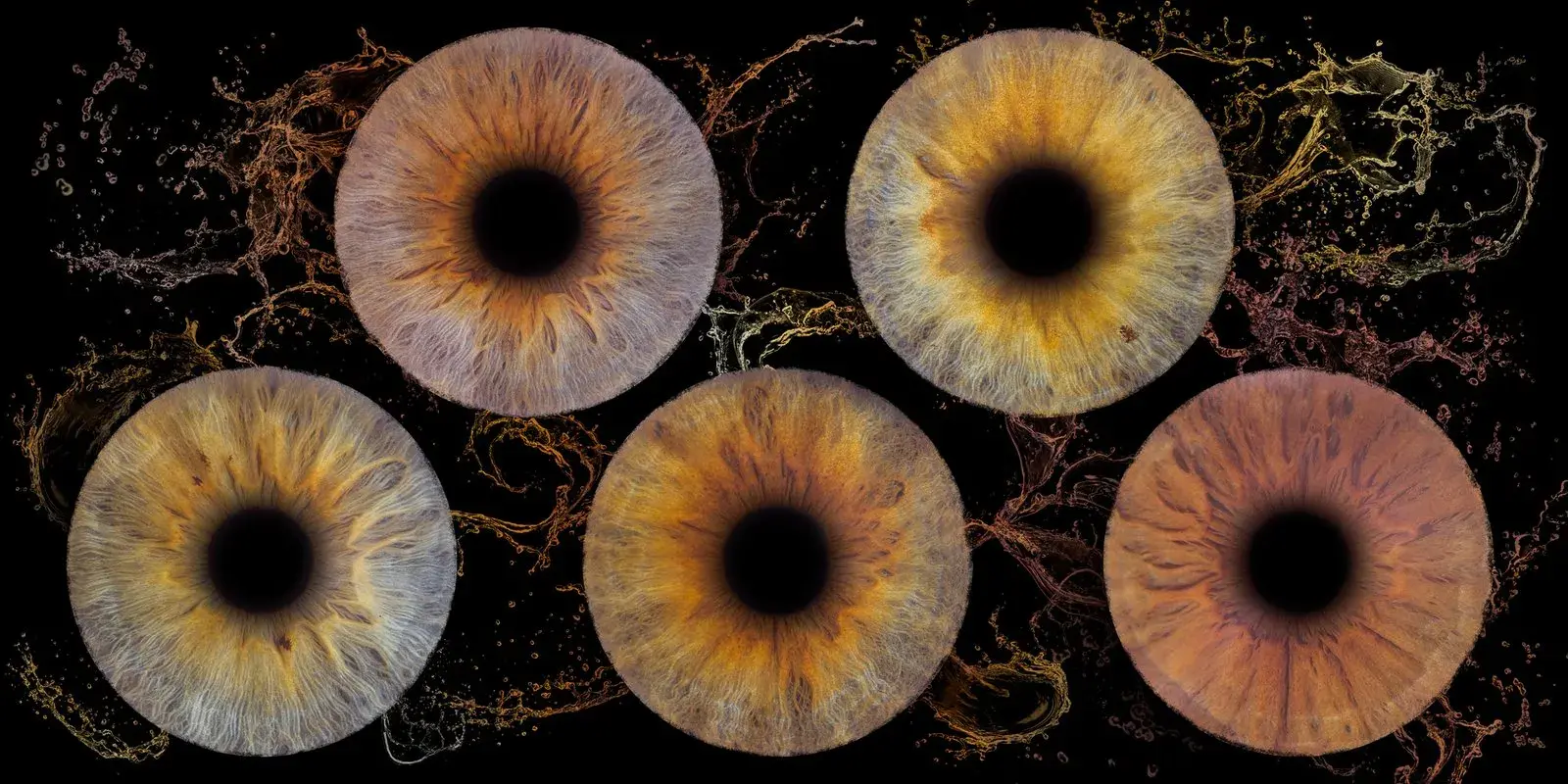 Tableau de plusieurs iris personnalisé à Bordeaux